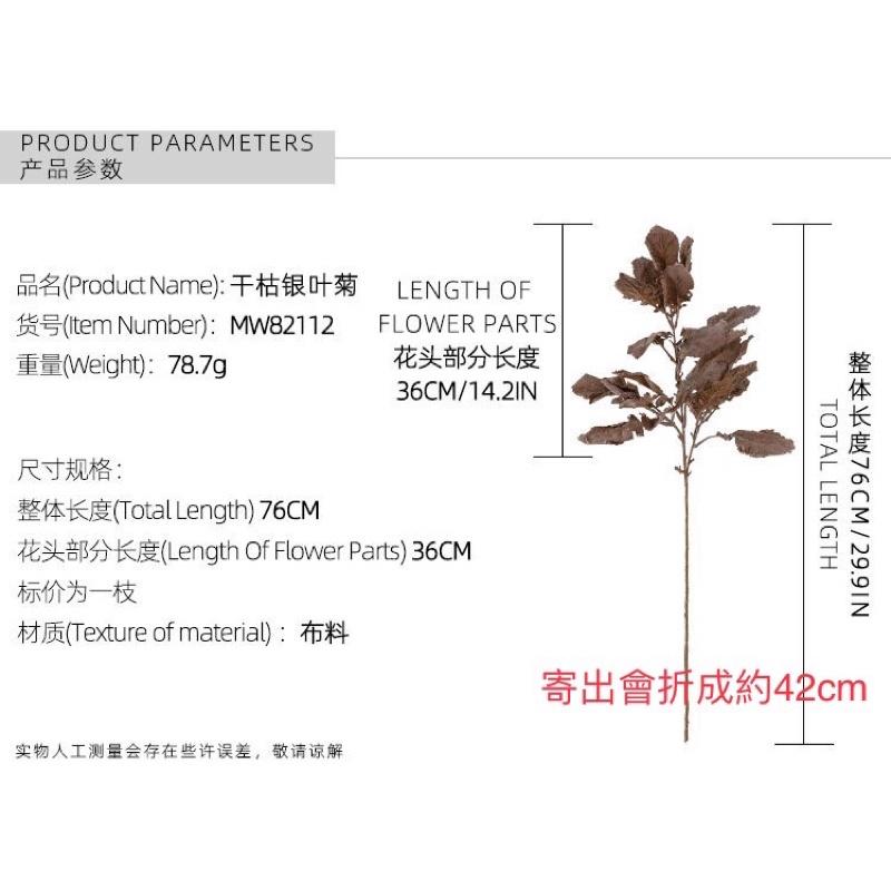 仿真花 乾枯銀葉菊 仿真植物 假花 拍照道具 拍照背景【GXS拍照道具】-細節圖3