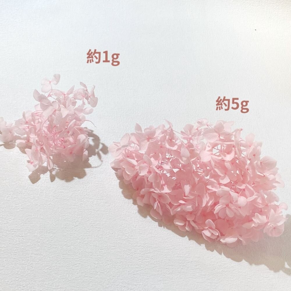 繡球花 永生繡球花 小份量1-2克 5g 裝 永生花 永生安娜繡球 永生木繡球 DIY 浮游花 短支花材-細節圖2