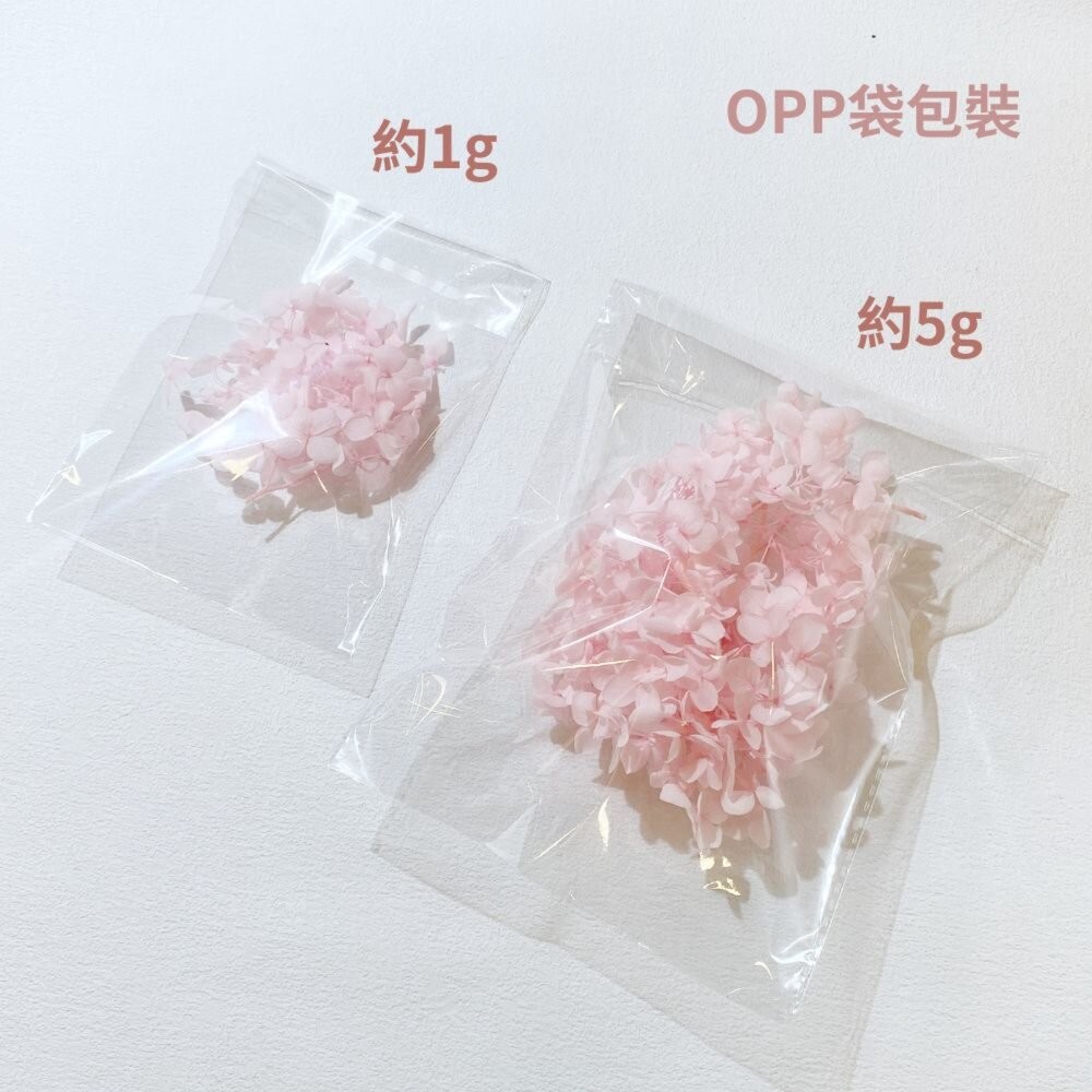 繡球花 永生繡球花 小份量1-2克 5g 裝 永生花 永生安娜繡球 永生木繡球 DIY 浮游花 短支花材-細節圖3