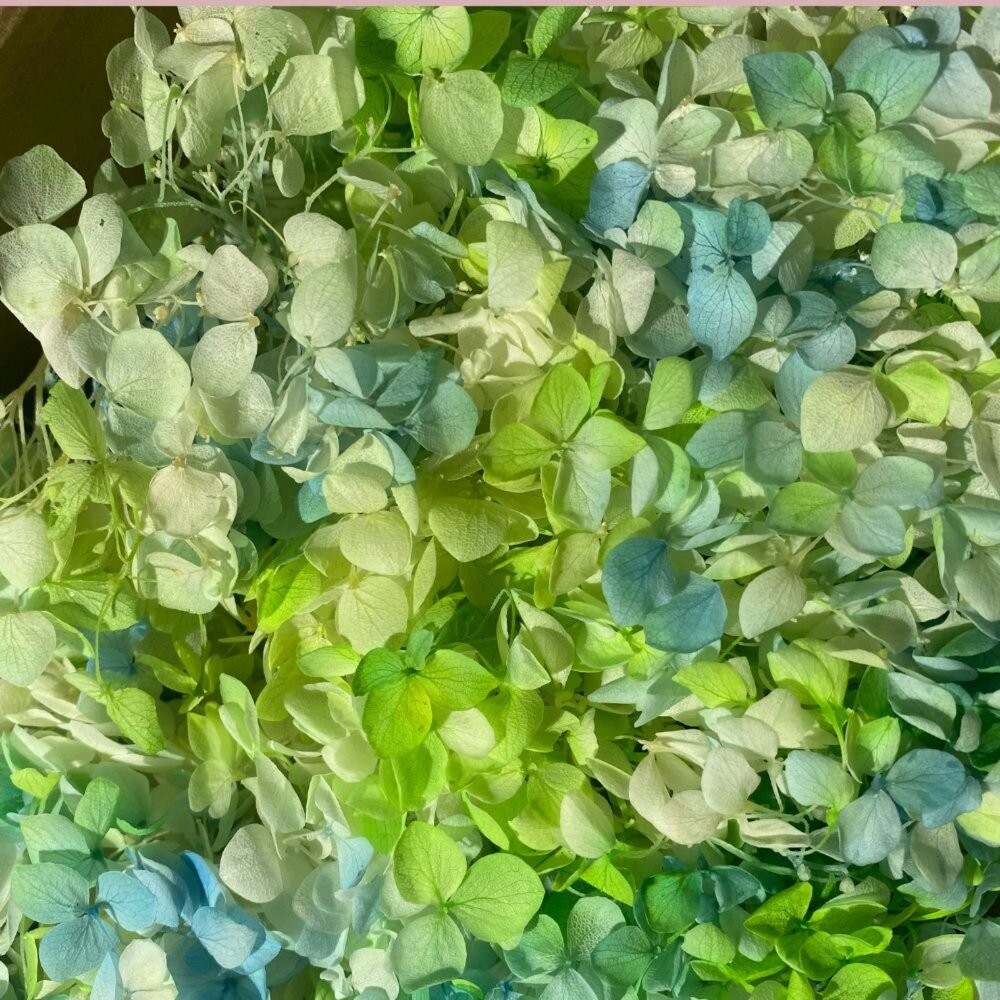 繡球花 永生繡球花 小份量1-2克 5g 裝 永生花 永生安娜繡球 永生木繡球 DIY 浮游花 短支花材-細節圖4