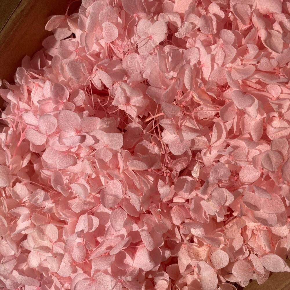 繡球花 永生繡球花 小份量1-2克 5g 裝 永生花 永生安娜繡球 永生木繡球 DIY 浮游花 短支花材-細節圖7