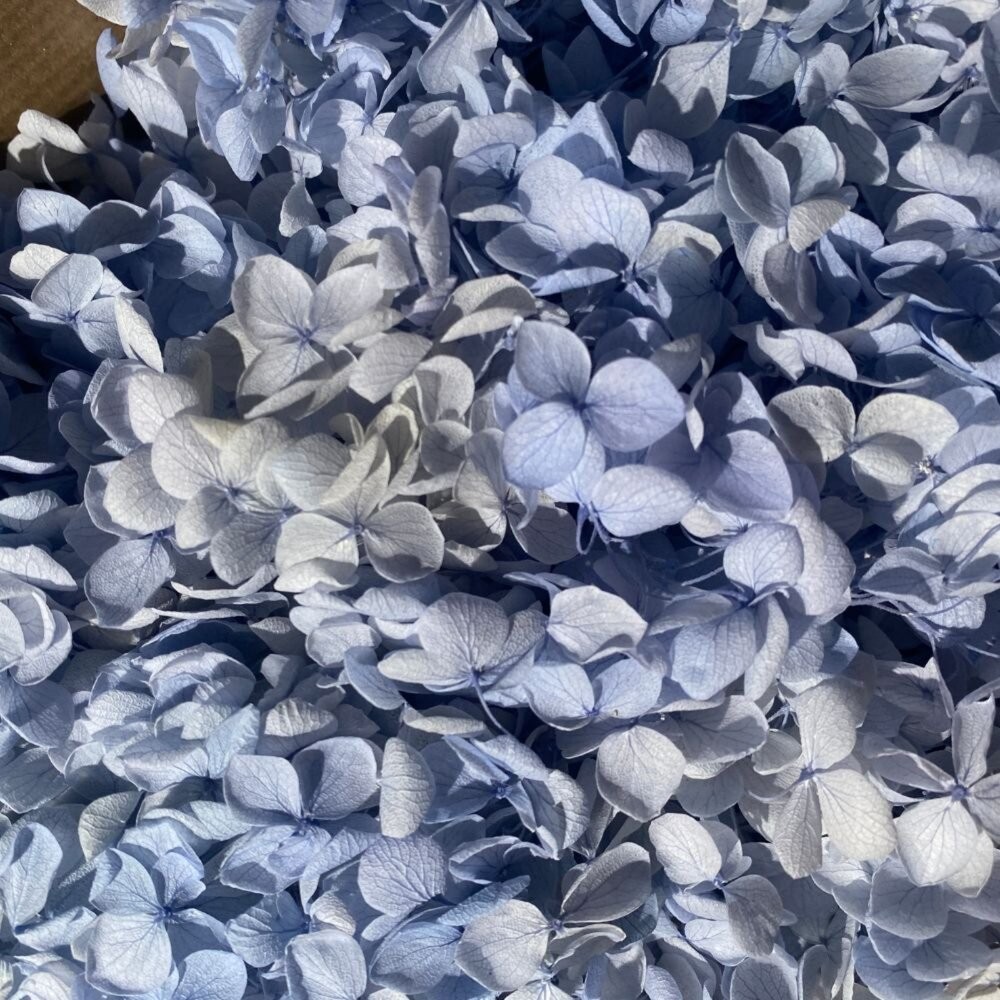 繡球花 永生繡球花 小份量1-2克 5g 裝 永生花 永生安娜繡球 永生木繡球 DIY 浮游花 短支花材-細節圖8