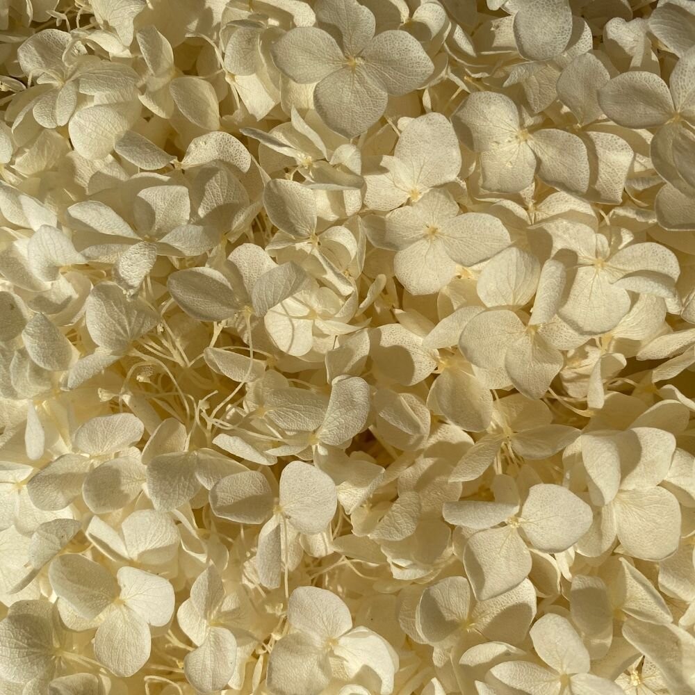 繡球花 永生繡球花 小份量1-2克 5g 裝 永生花 永生安娜繡球 永生木繡球 DIY 浮游花 短支花材-規格圖10