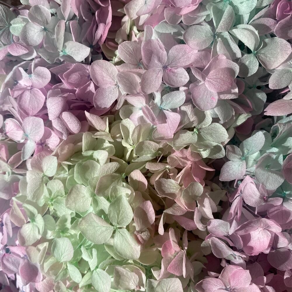 淺芙藍粉紫漸變