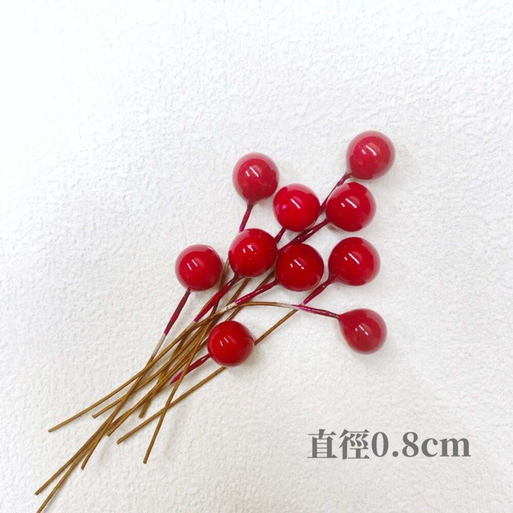 【森林海】仿真果漿 聖誕裝飾 花束裝飾 Diy材料 果漿 莓果 聖誕節裝飾 聖誕樹裝飾 花藝材料 鐵絲珠珠-規格圖10