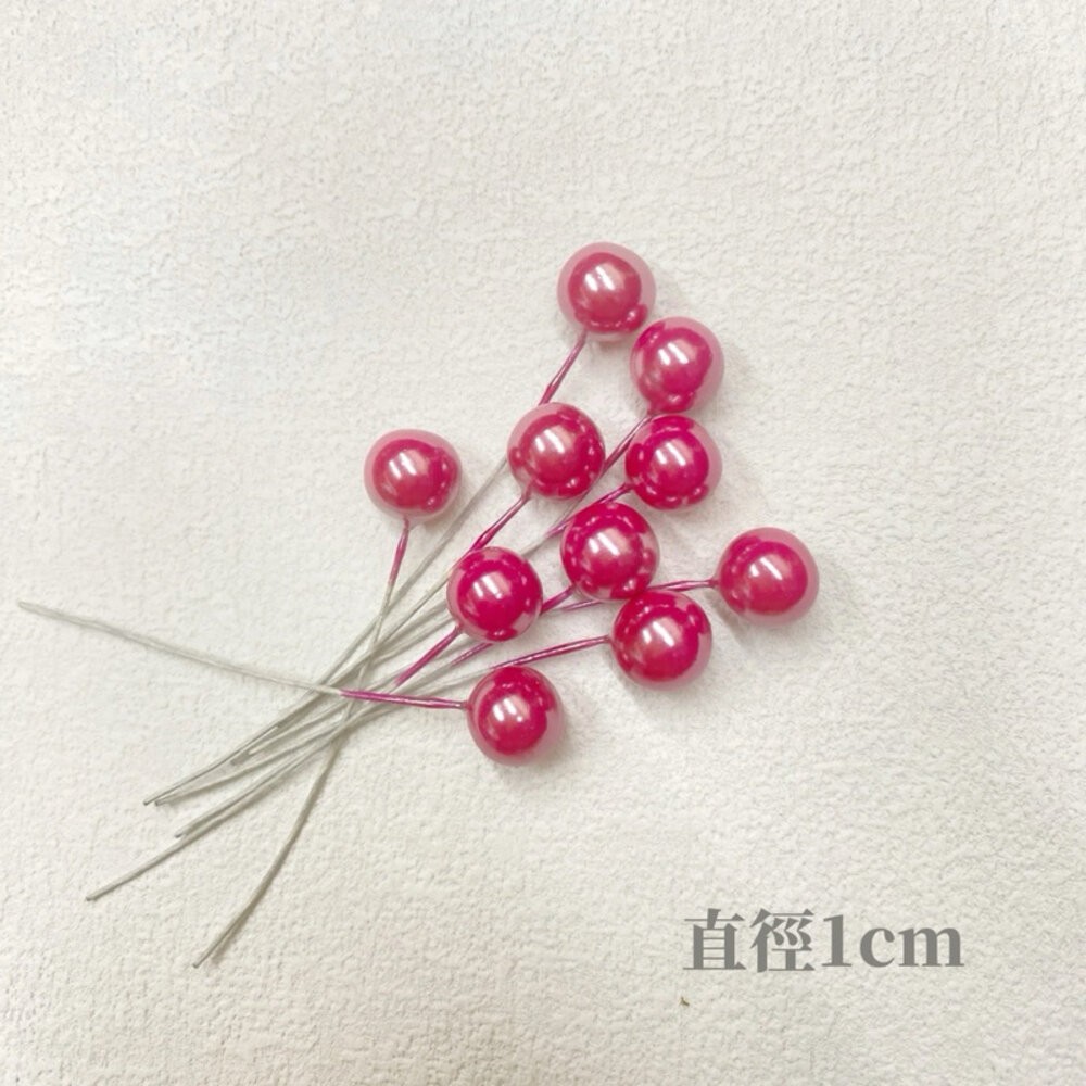【森林海】仿真果漿 聖誕裝飾 花束裝飾 Diy材料 果漿 莓果 聖誕節裝飾 聖誕樹裝飾 花藝材料 鐵絲珠珠-規格圖10