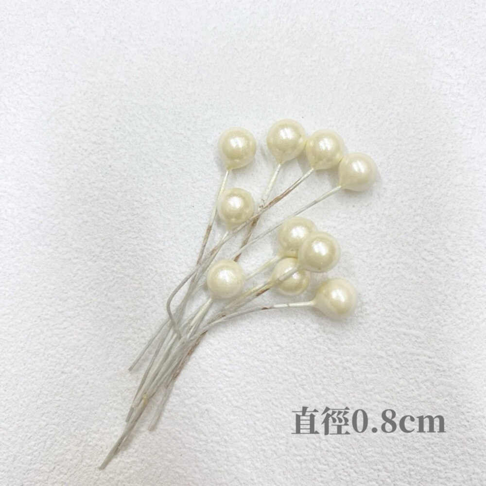 【森林海】仿真果漿 聖誕裝飾 花束裝飾 Diy材料 果漿 莓果 聖誕節裝飾 聖誕樹裝飾 花藝材料 鐵絲珠珠-規格圖10