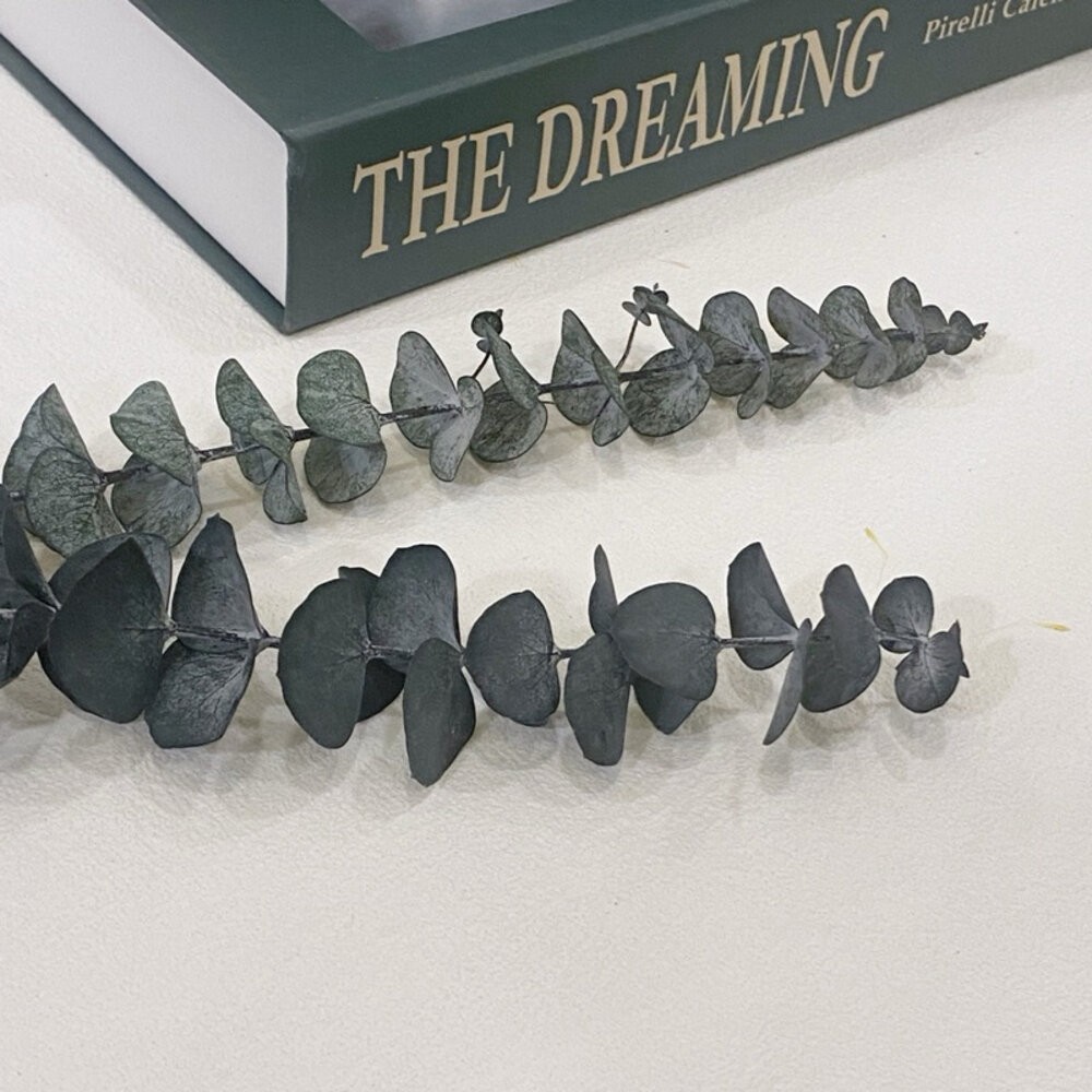 【森林海】尤加利 乾燥花 永生尤加利葉 拍照道具 不凋花 保鮮花 不凋花 人造花 花束捧花 花藝設計 室內擺飾 婚禮佈置-細節圖4