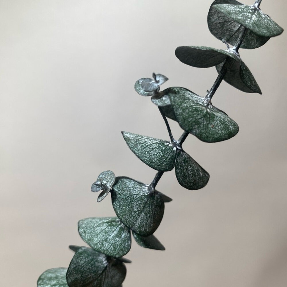 【森林海】尤加利 乾燥花 永生尤加利葉 拍照道具 不凋花 保鮮花 不凋花 人造花 花束捧花 花藝設計 室內擺飾 婚禮佈置-細節圖8