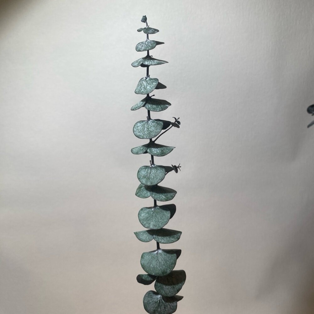 【森林海】尤加利 乾燥花 永生尤加利葉 拍照道具 不凋花 保鮮花 不凋花 人造花 花束捧花 花藝設計 室內擺飾 婚禮佈置-細節圖9