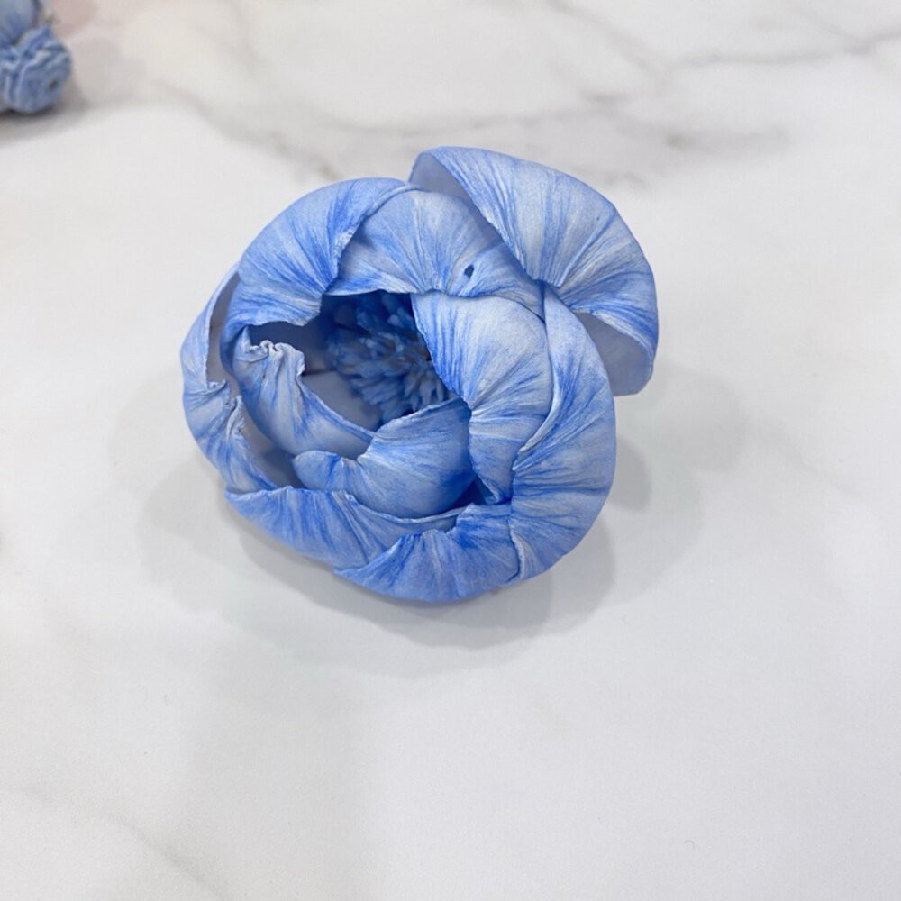 索拉花 通草花 永生花 乾燥花 擴香花 拍照道具 花藝材料-規格圖1