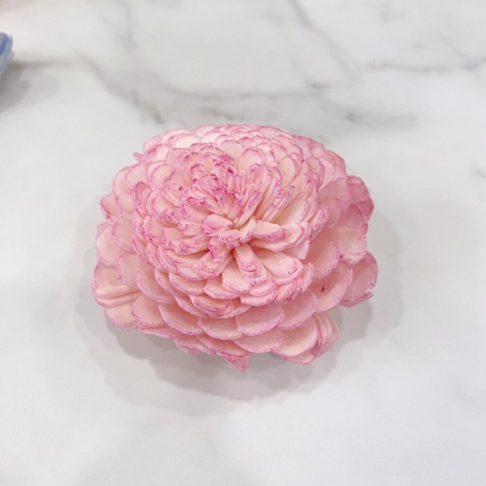 索拉花 通草花 永生花 乾燥花 擴香花 拍照道具 花藝材料-規格圖1