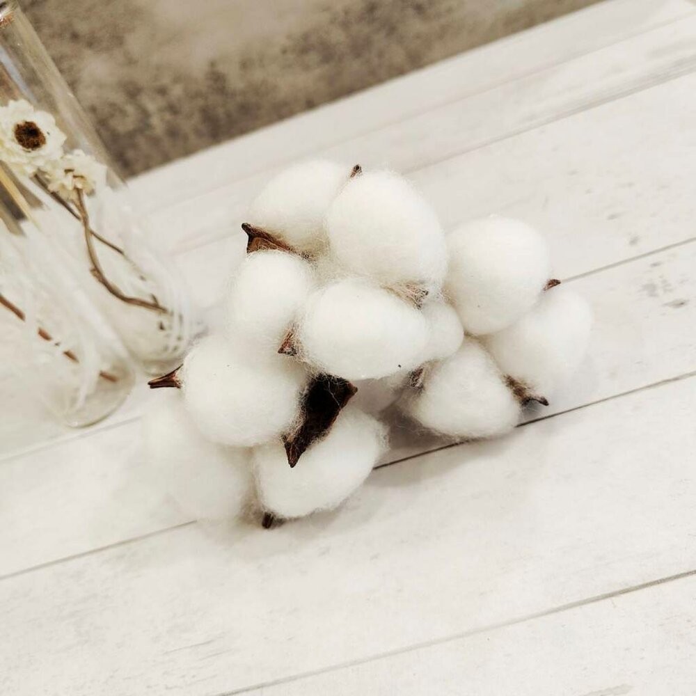 棉花 乾燥棉花 永生花 新娘捧花 乾燥花 花束 GXS拍照道具-細節圖3