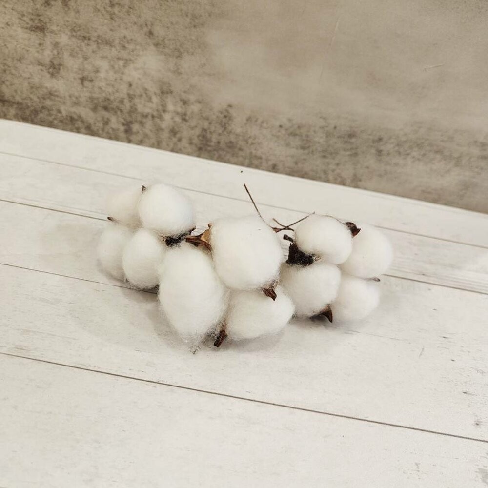 棉花 乾燥棉花 永生花 新娘捧花 乾燥花 花束 GXS拍照道具-細節圖4