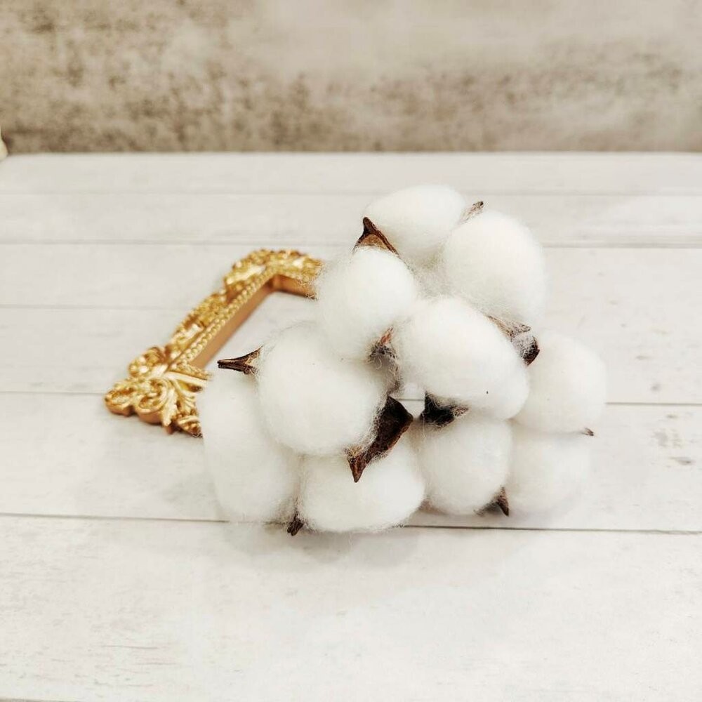 棉花 乾燥棉花 永生花 新娘捧花 乾燥花 花束 GXS拍照道具-細節圖5