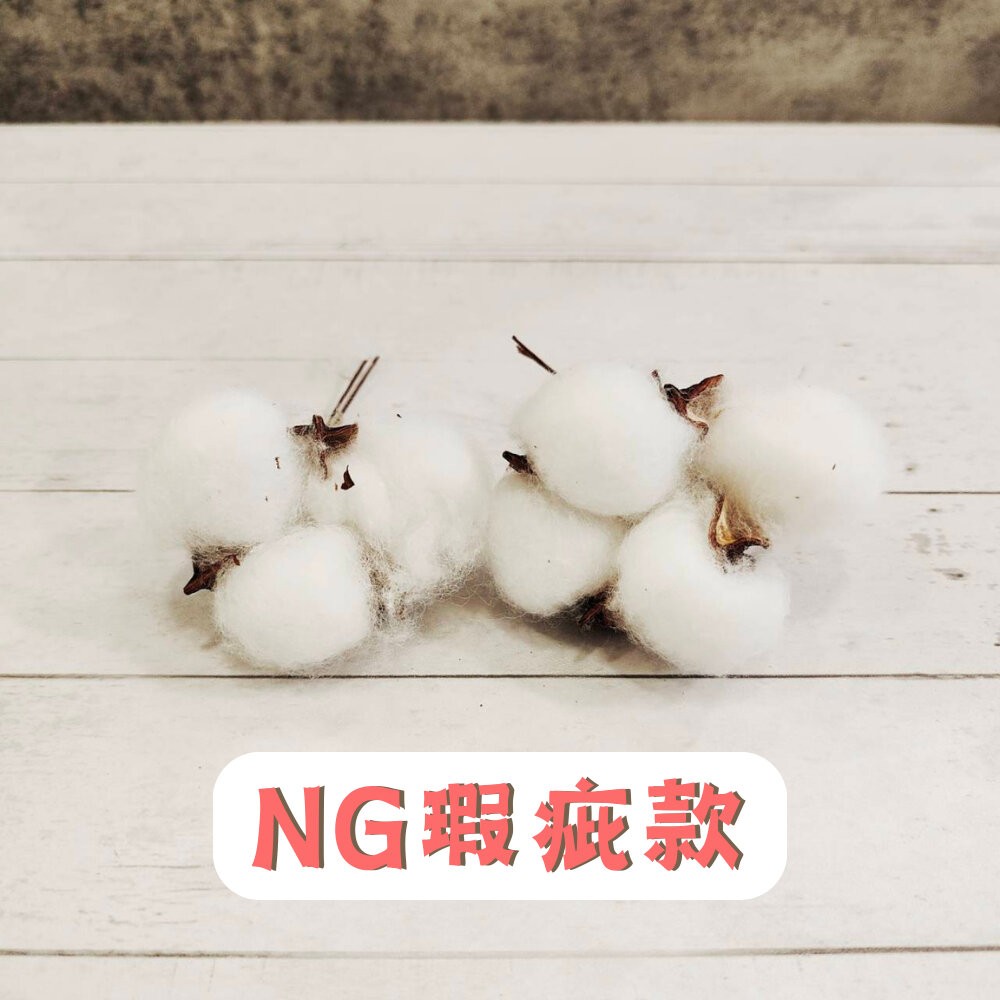 棉花 乾燥棉花 永生花 新娘捧花 乾燥花 花束 GXS拍照道具-規格圖5