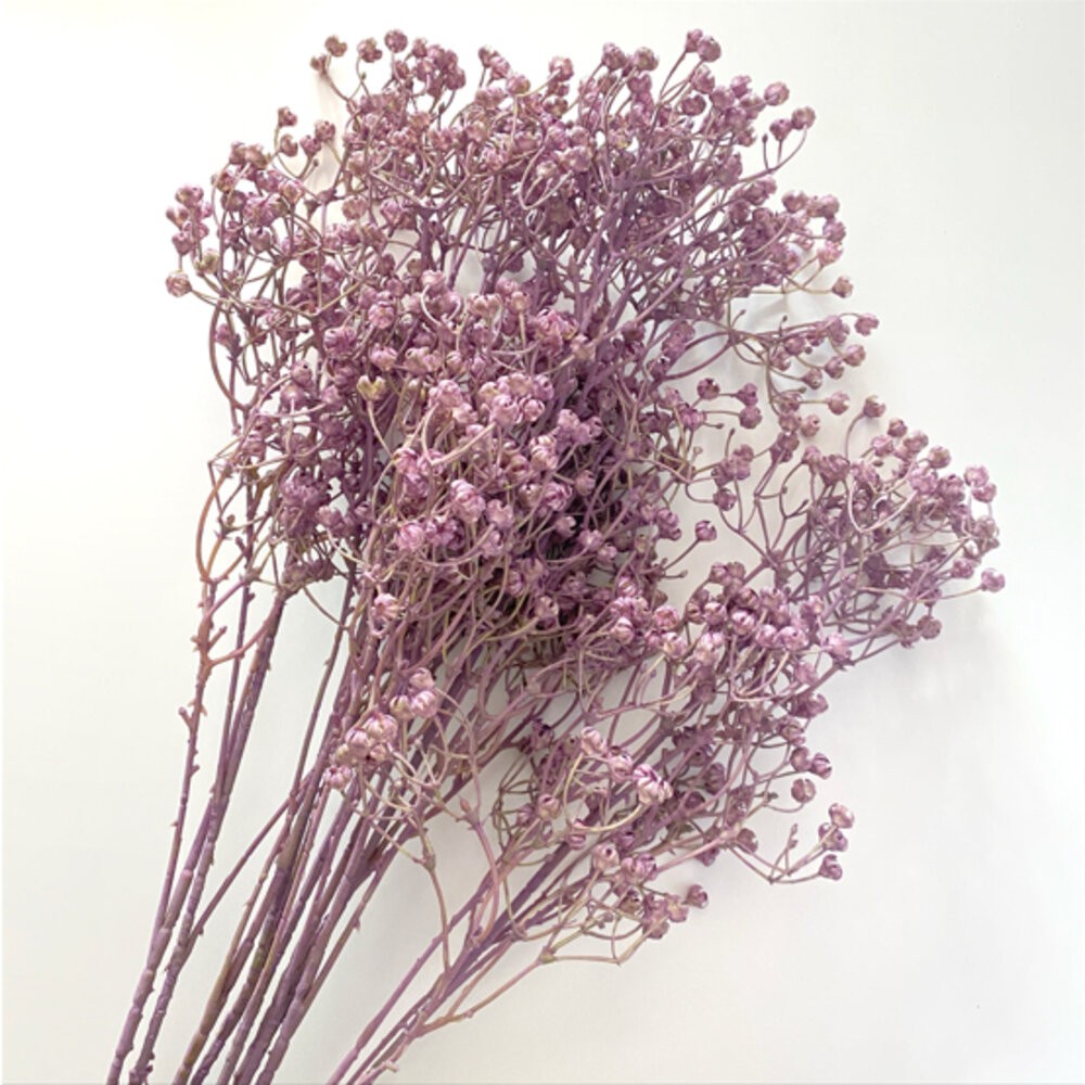 滿天星 仿真滿天星 PU軟膠 拍照道具 仿真花 人造花  塑膠花【GXS拍照道具】-細節圖2