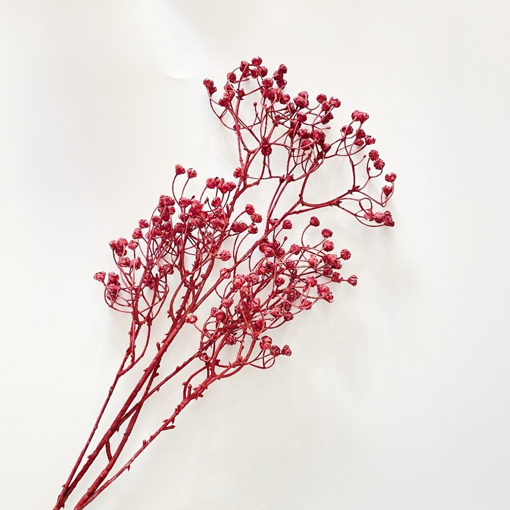 滿天星 仿真滿天星 PU軟膠 拍照道具 仿真花 人造花  塑膠花【GXS拍照道具】-規格圖8