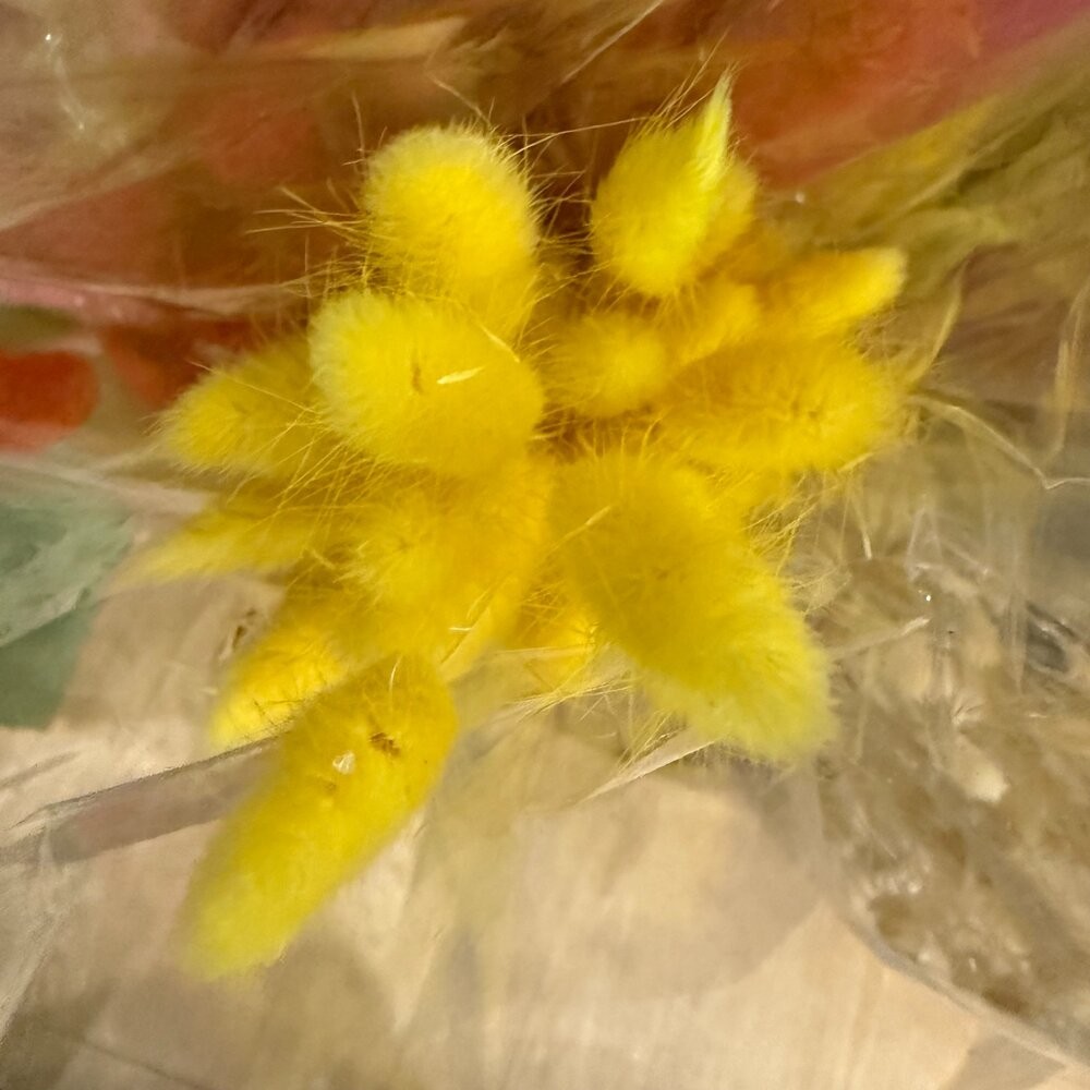 兔尾草 永生花 新娘捧花 乾燥花 花束 GXS拍照道具-細節圖6