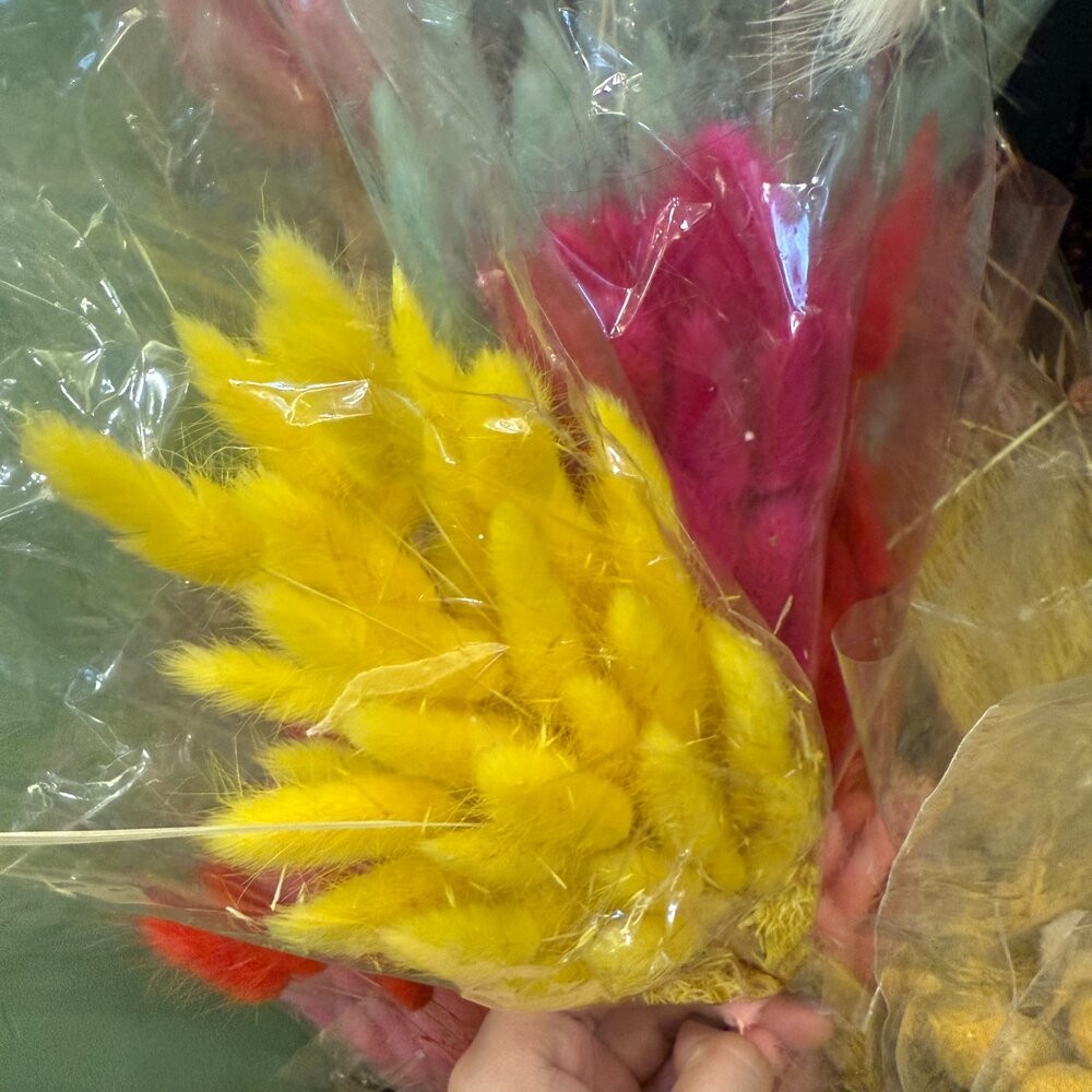 兔尾草 永生花 新娘捧花 乾燥花 花束 GXS拍照道具-細節圖7