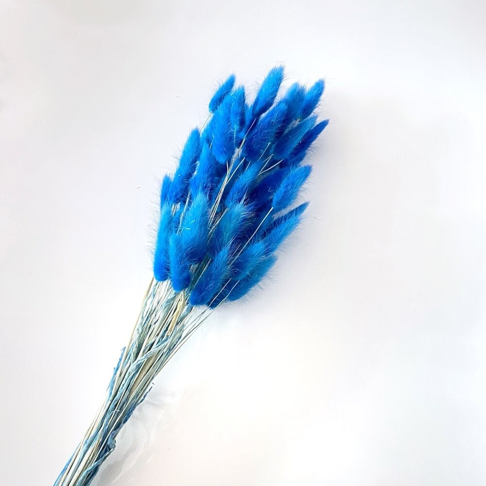 兔尾草 永生花 新娘捧花 乾燥花 花束 GXS拍照道具-規格圖9