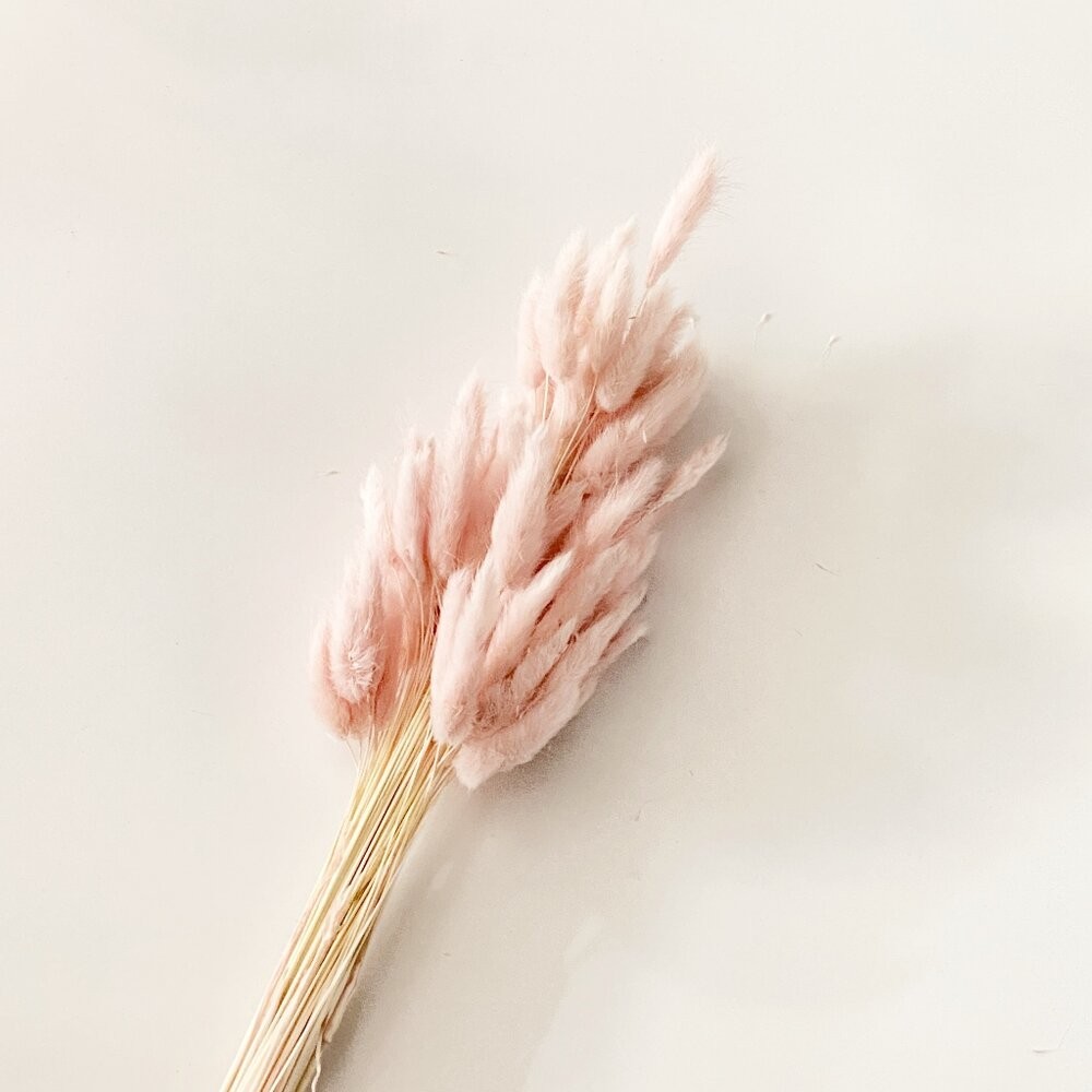 兔尾草 永生花 新娘捧花 乾燥花 花束 GXS拍照道具-規格圖9