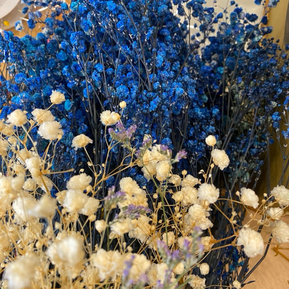 滿天星 永生花 新娘捧花 乾燥花 花束 GXS拍照道具-細節圖2