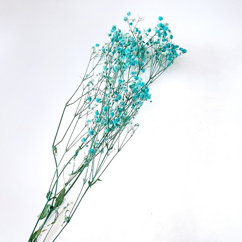 滿天星 永生花 新娘捧花 乾燥花 花束 GXS拍照道具-細節圖3