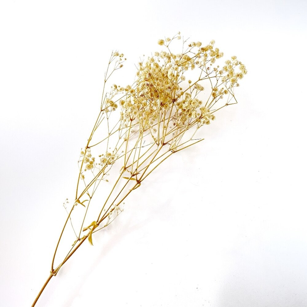 滿天星 永生花 新娘捧花 乾燥花 花束 GXS拍照道具-規格圖9