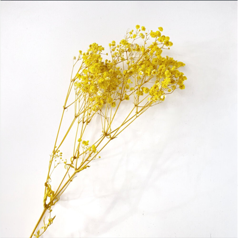 滿天星 永生花 新娘捧花 乾燥花 花束 GXS拍照道具-規格圖9