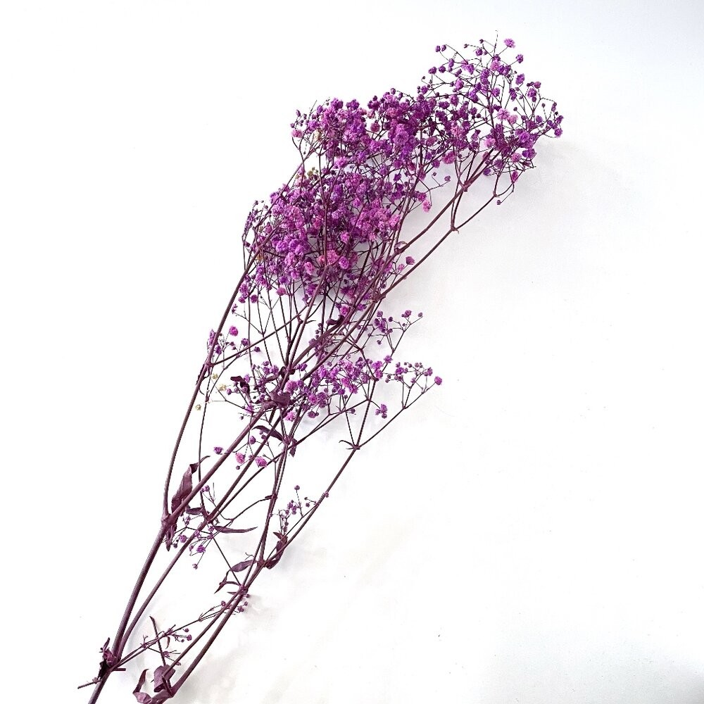 滿天星 永生花 新娘捧花 乾燥花 花束 GXS拍照道具-規格圖9