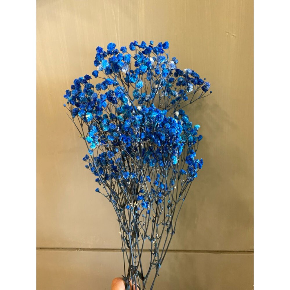 滿天星 永生花 新娘捧花 乾燥花 花束 GXS拍照道具-規格圖9