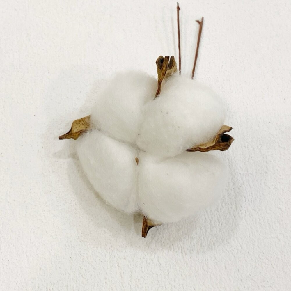 松果 聖誕裝飾 乾燥花 聖誕花圈 聖誕樹 聖誕節 聖誕花圈diy-細節圖8