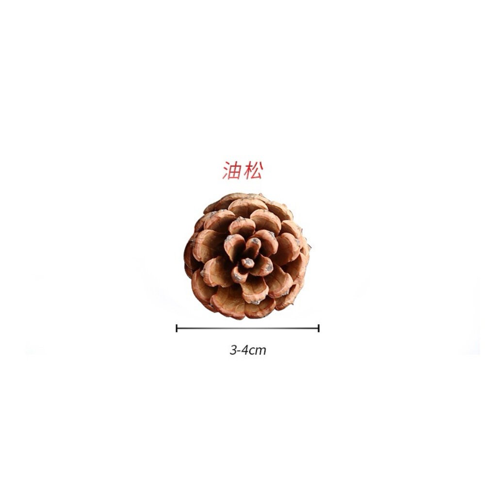 松果 聖誕裝飾 乾燥花 聖誕花圈 聖誕樹 聖誕節 聖誕花圈diy-規格圖9