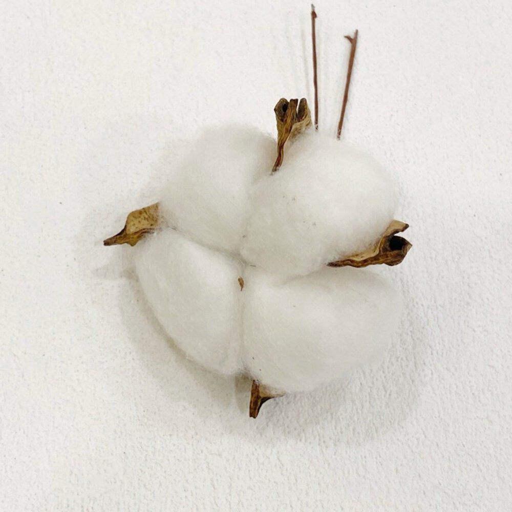 松果 聖誕裝飾 乾燥花 聖誕花圈 聖誕樹 聖誕節 聖誕花圈diy-規格圖9