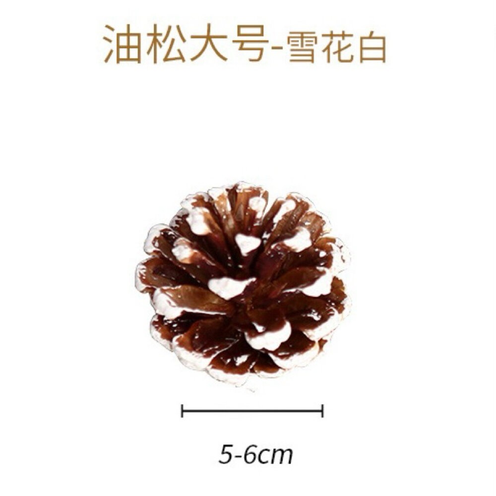 松果 聖誕裝飾 乾燥花 聖誕花圈 聖誕樹 聖誕節 聖誕花圈diy-規格圖9