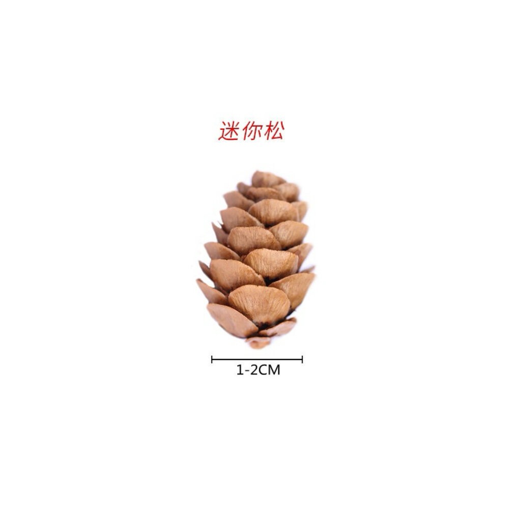 松果 聖誕裝飾 乾燥花 聖誕花圈 聖誕樹 聖誕節 聖誕花圈diy-規格圖9
