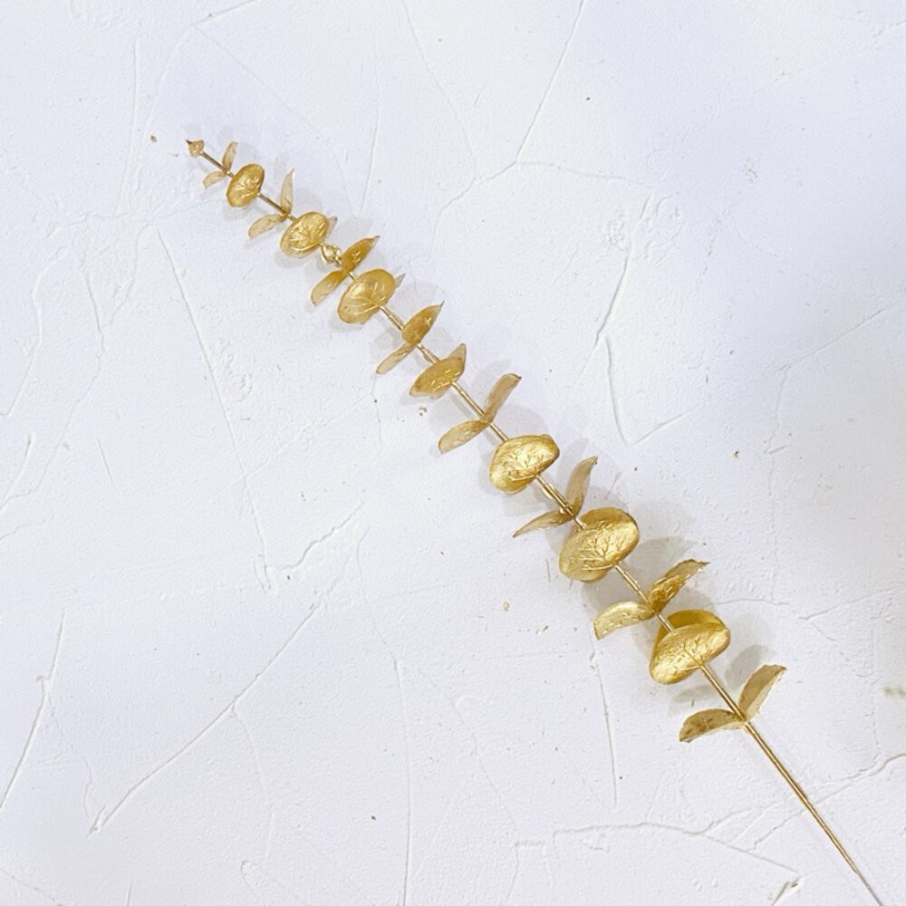 B12-單支尤加利葉