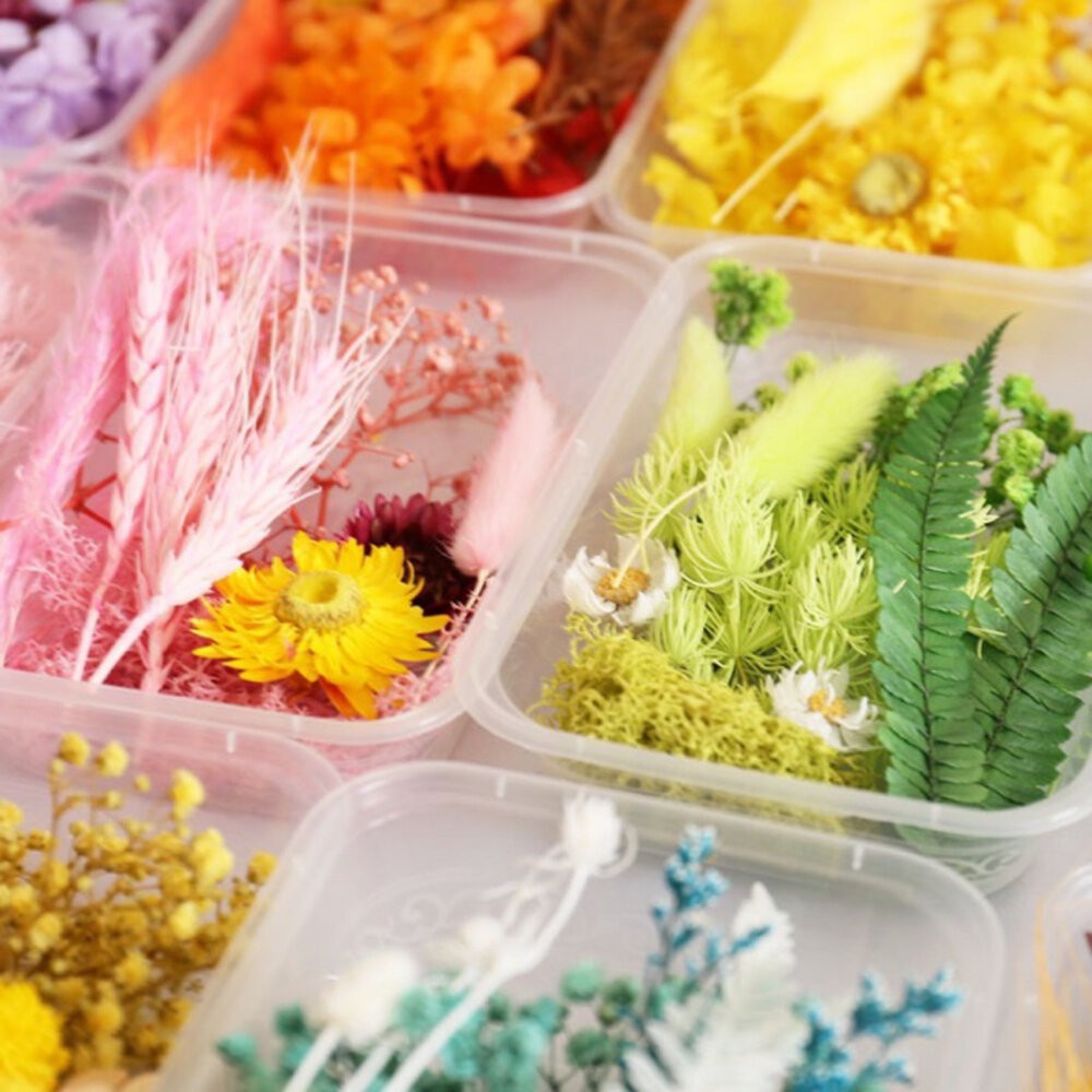 乾燥花材料包 畢業禮物 永生花 浮油花 乾燥花DIY套件 乾燥花 乾燥花藝教學 自然乾燥花材料包 精美乾燥花材料禮盒-細節圖2