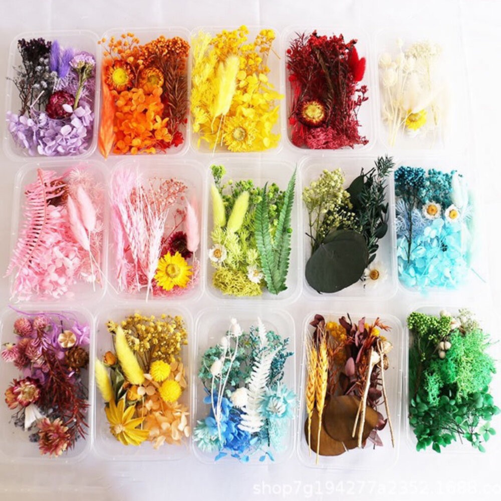 乾燥花材料包 畢業禮物 永生花 浮油花 乾燥花DIY套件 乾燥花 乾燥花藝教學 自然乾燥花材料包 精美乾燥花材料禮盒-細節圖3