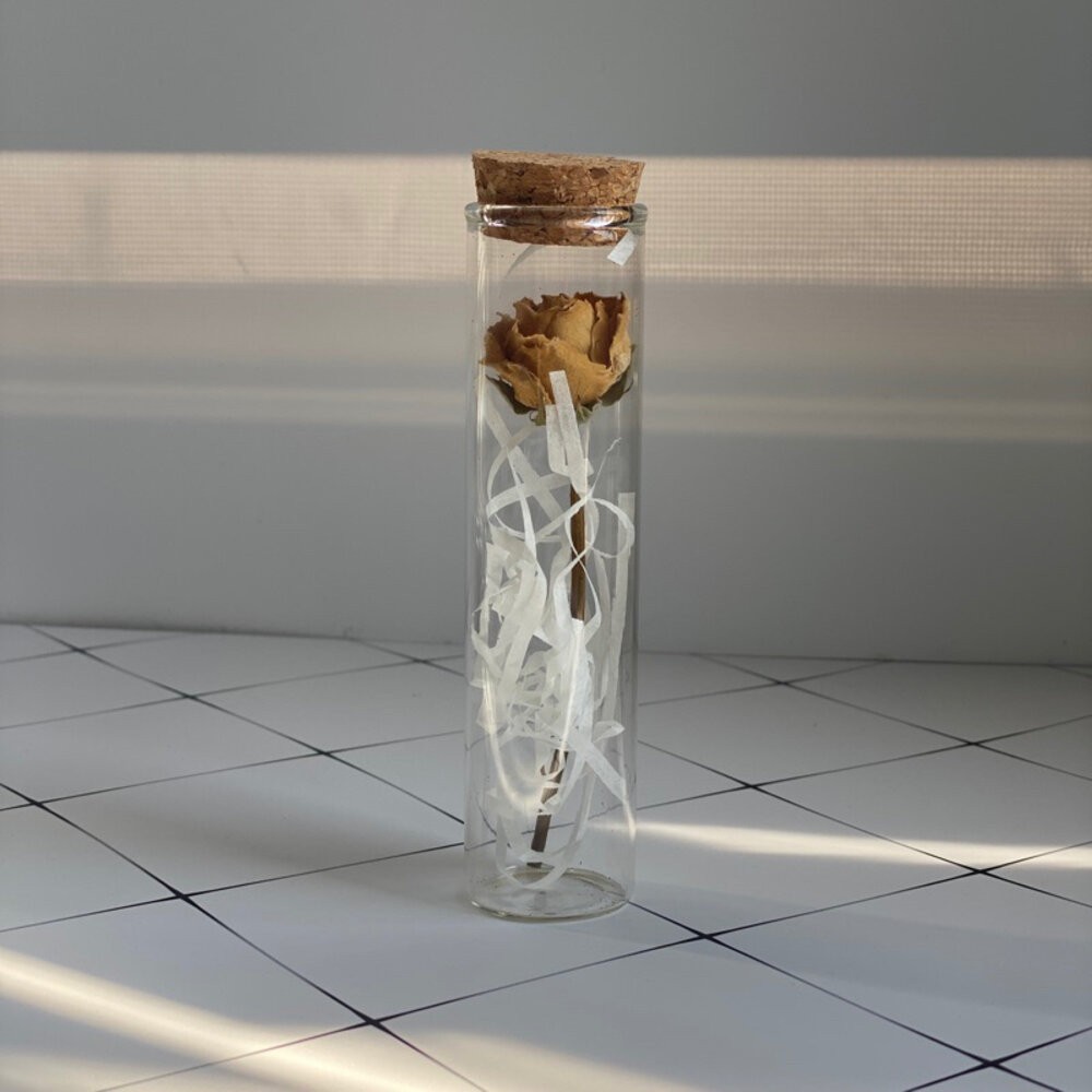 金色玫瑰（不含禮盒）