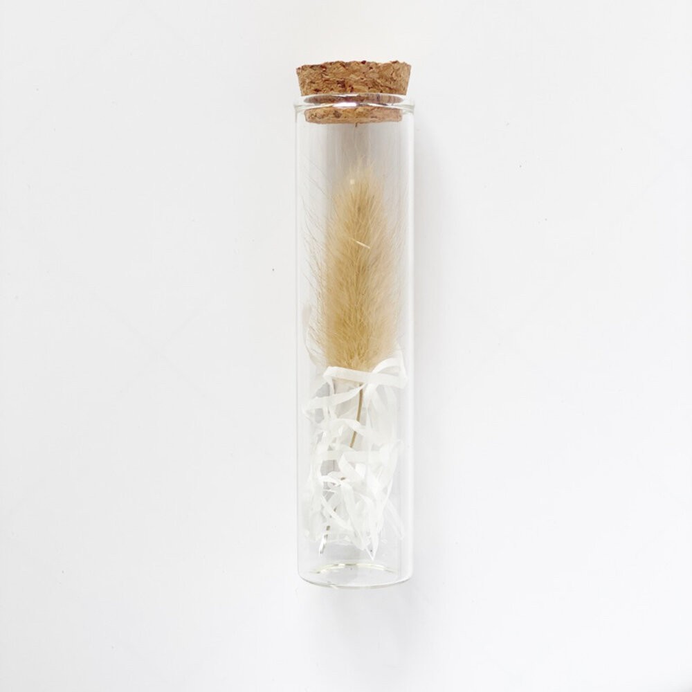 原色兔尾（不含禮盒）