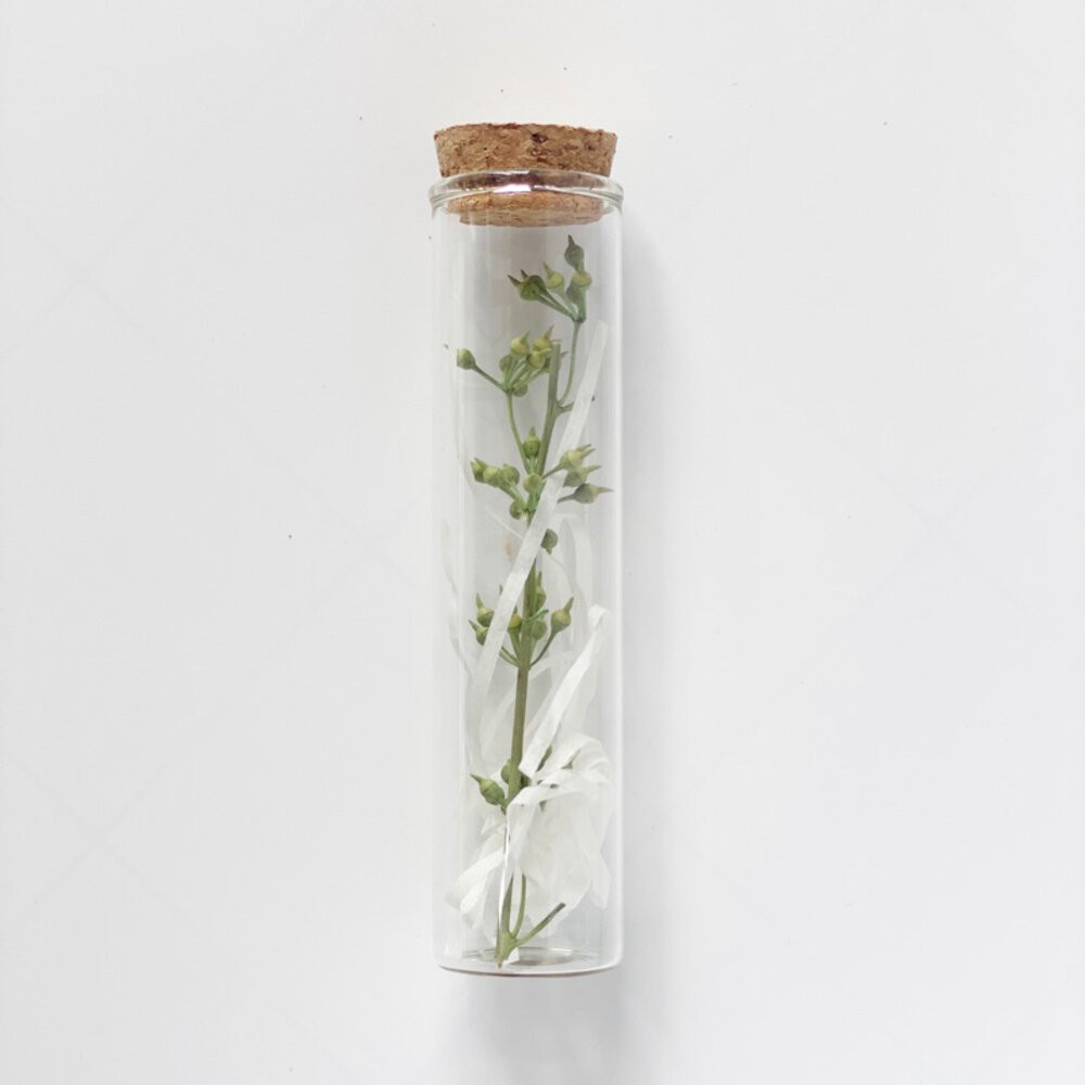 試管乾燥花 畢業禮物 畢業花束 母親節 康乃馨 許願花瓶  花瓶 許願罐花瓶 願望瓶飾 願望儲存瓶 願望裝飾花-規格圖9