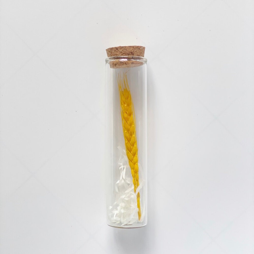 試管乾燥花 畢業禮物 畢業花束 母親節 康乃馨 許願花瓶  花瓶 許願罐花瓶 願望瓶飾 願望儲存瓶 願望裝飾花-規格圖9