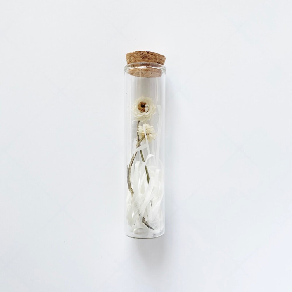 白色小花（不含禮盒）