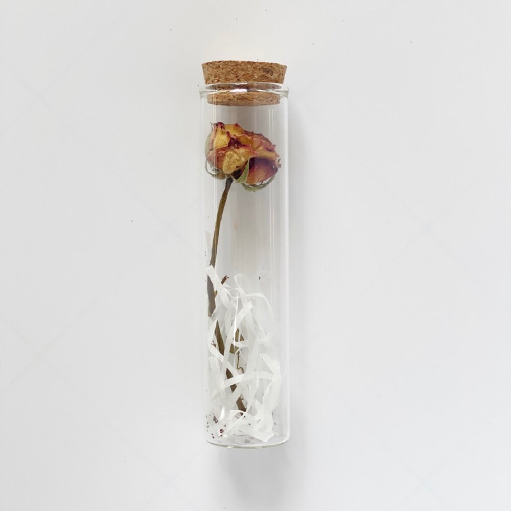 紅邊玫瑰（不含禮盒）