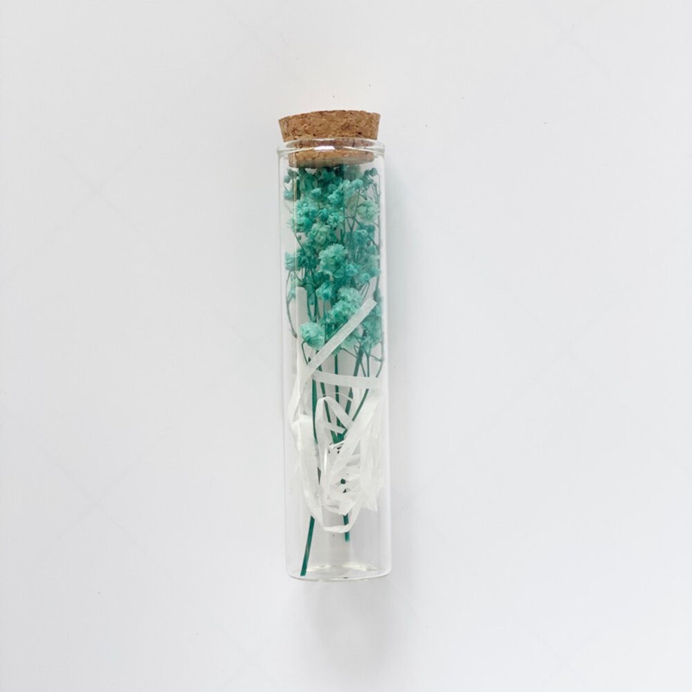 藍色滿天星（不含禮盒）