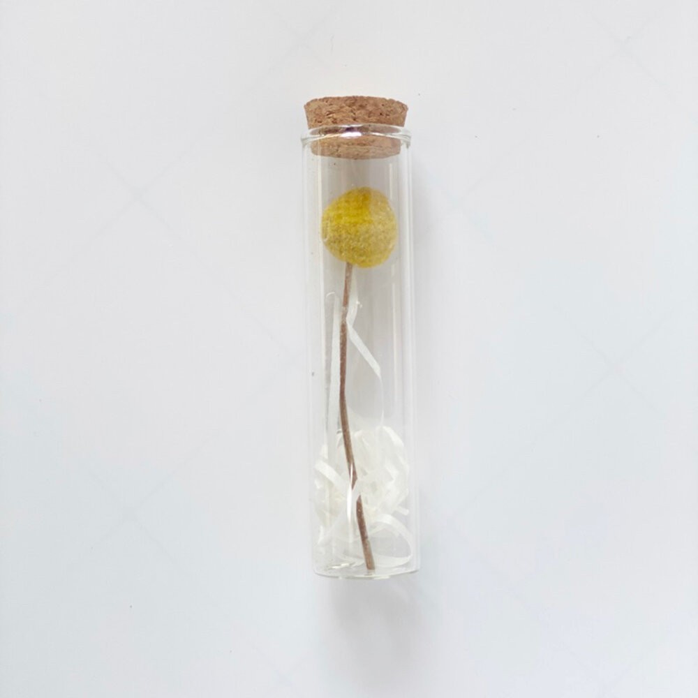 金球（不含禮盒）