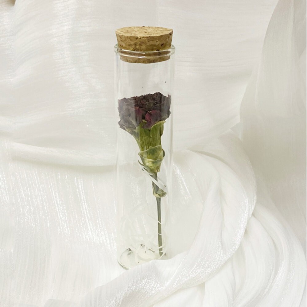 暗調康乃馨（不含禮盒）