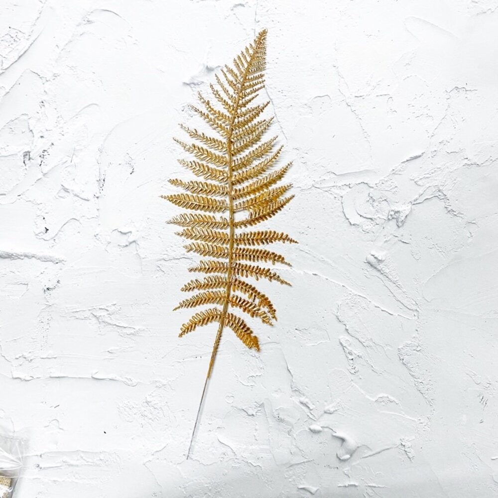 蕨葉（一支）長約41cm